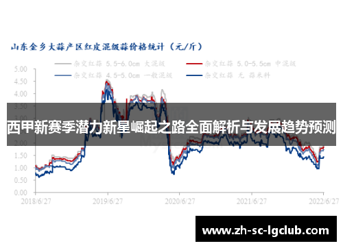 西甲新赛季潜力新星崛起之路全面解析与发展趋势预测