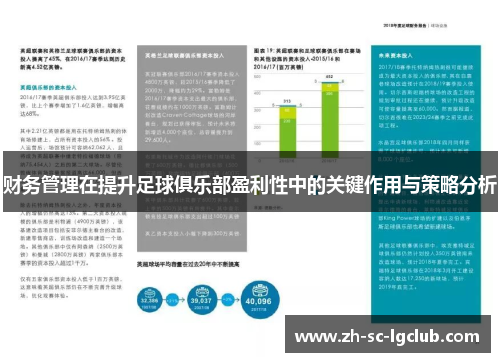 财务管理在提升足球俱乐部盈利性中的关键作用与策略分析