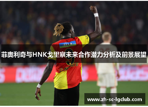 菲奥利奇与HNK戈里察未来合作潜力分析及前景展望